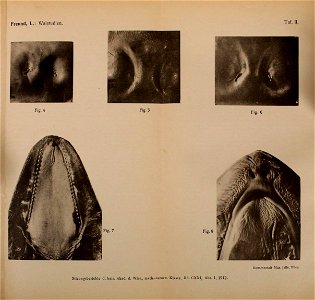 n1324_w1150