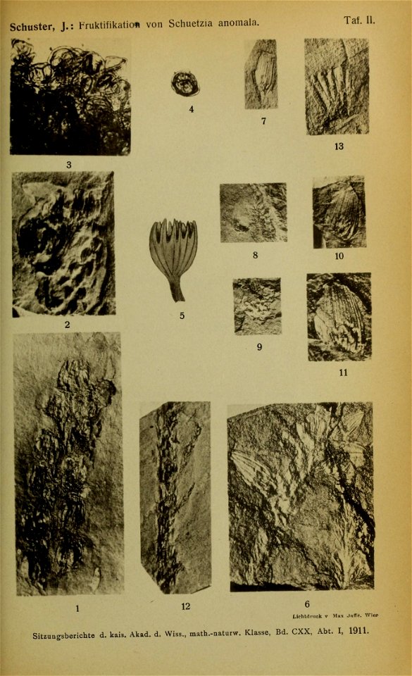 n1260_w1150