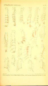 n1044_w1150