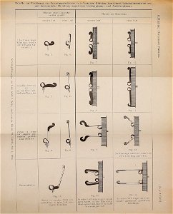 n1118_w1150