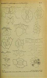 n1208_w1150