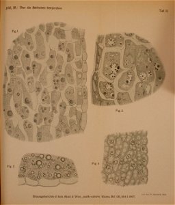 n1018_w1150