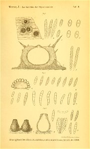 n638_w1150