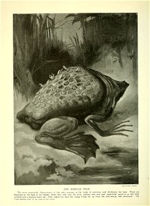n829_w1150