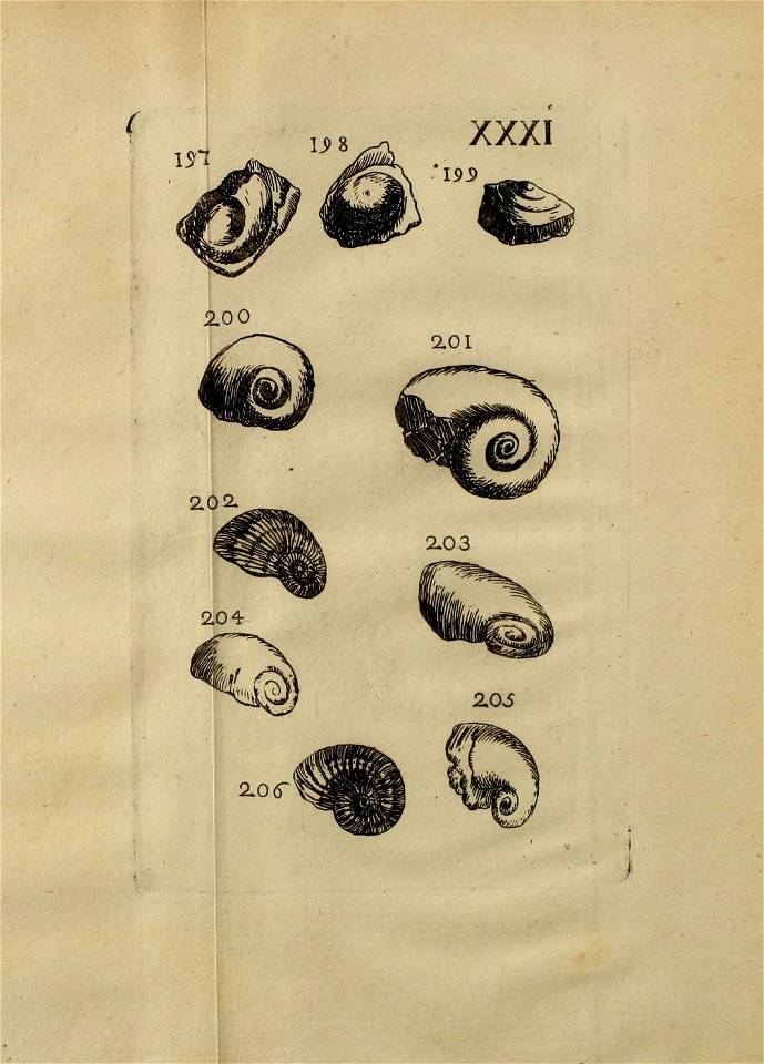 n394_w1150