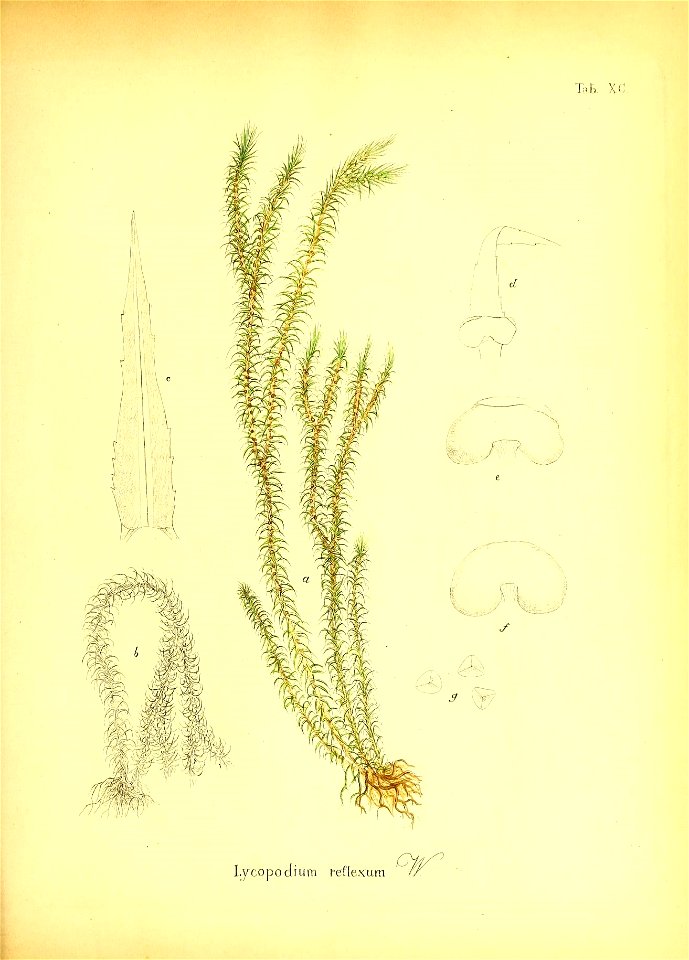 n436_w1150