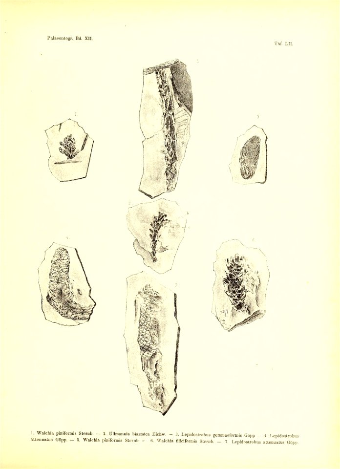 n448_w1150