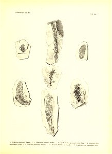 n448_w1150