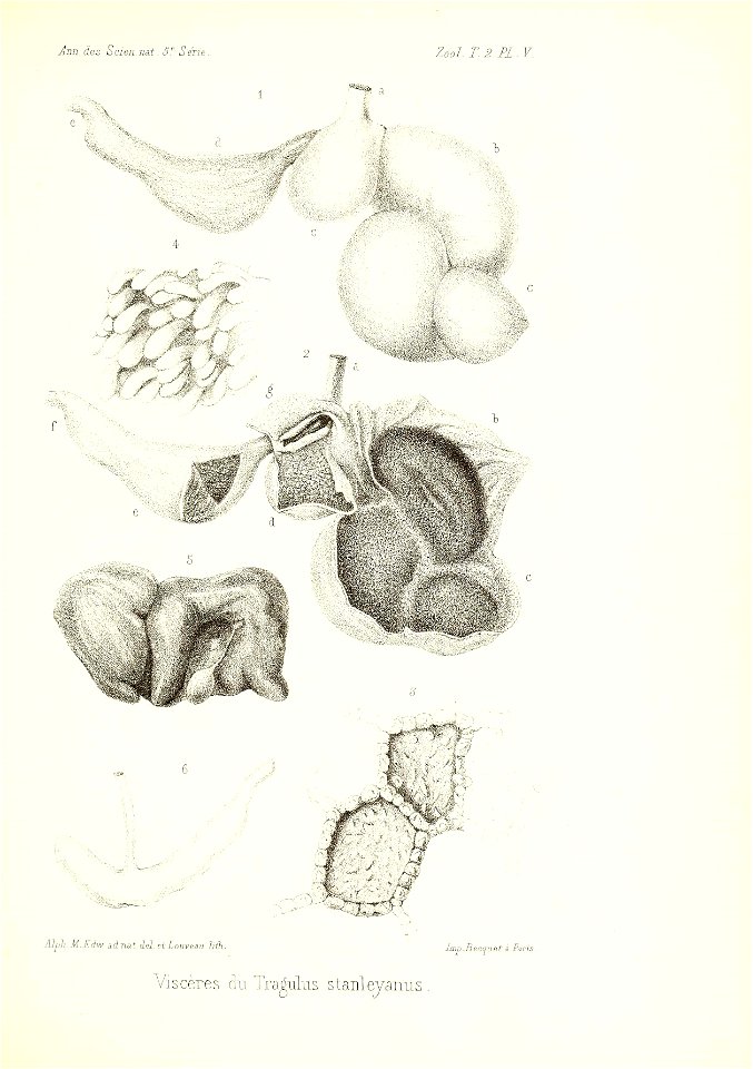 n154_w1150