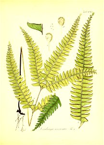 n106_w1150