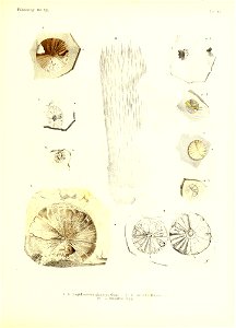 n368_w1150