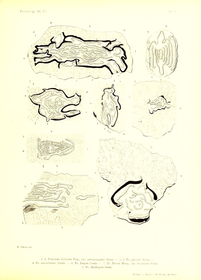 n334_w1150