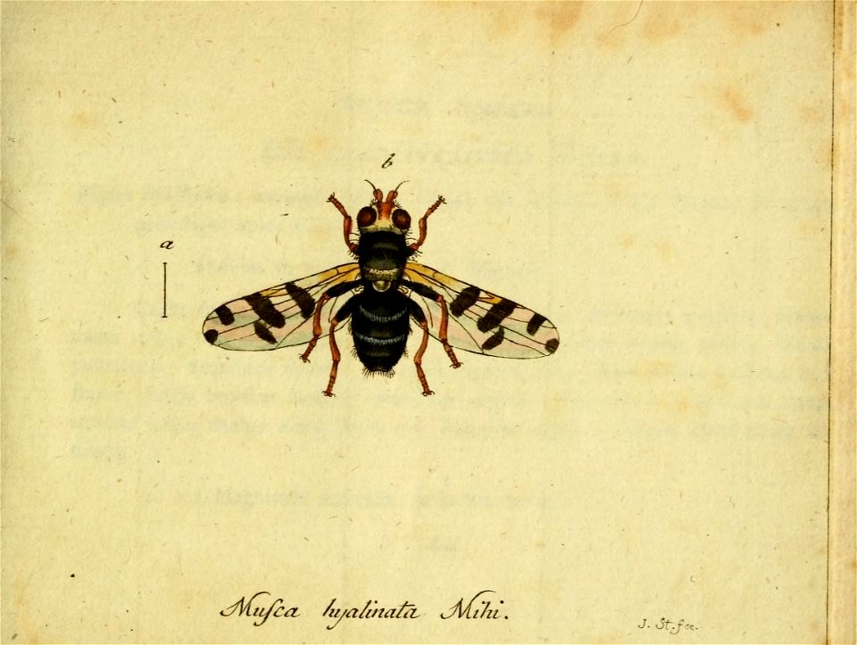 n598_w1150