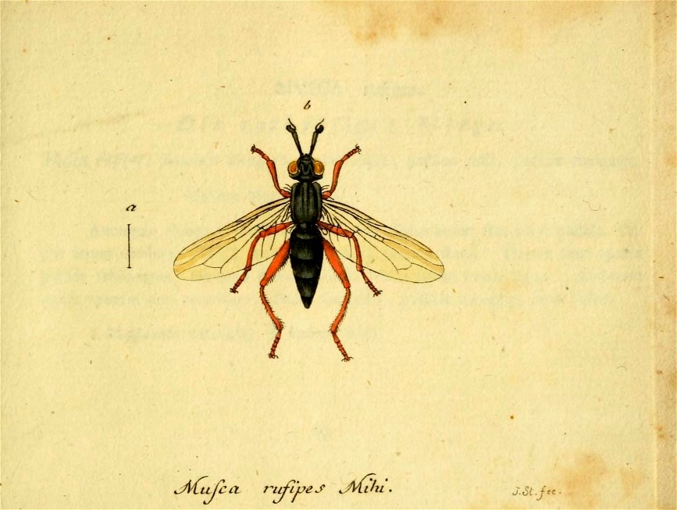 n594_w1150