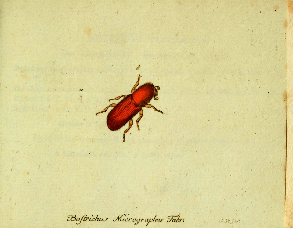 n552_w1150