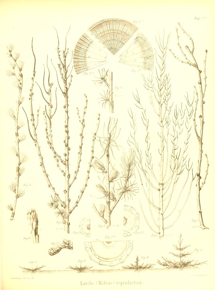 n502_w1150