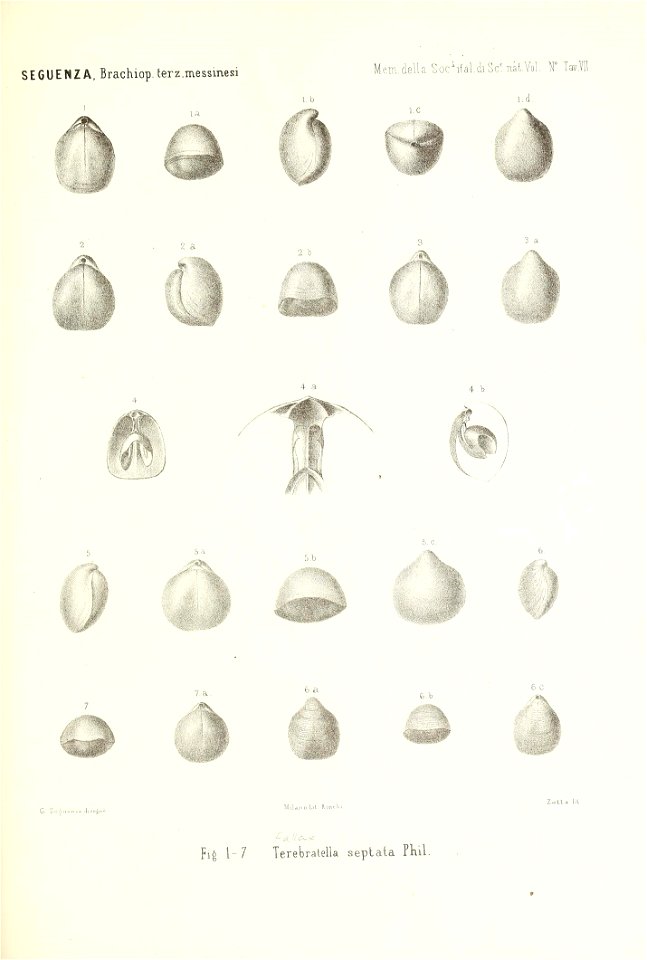 n184_w1150