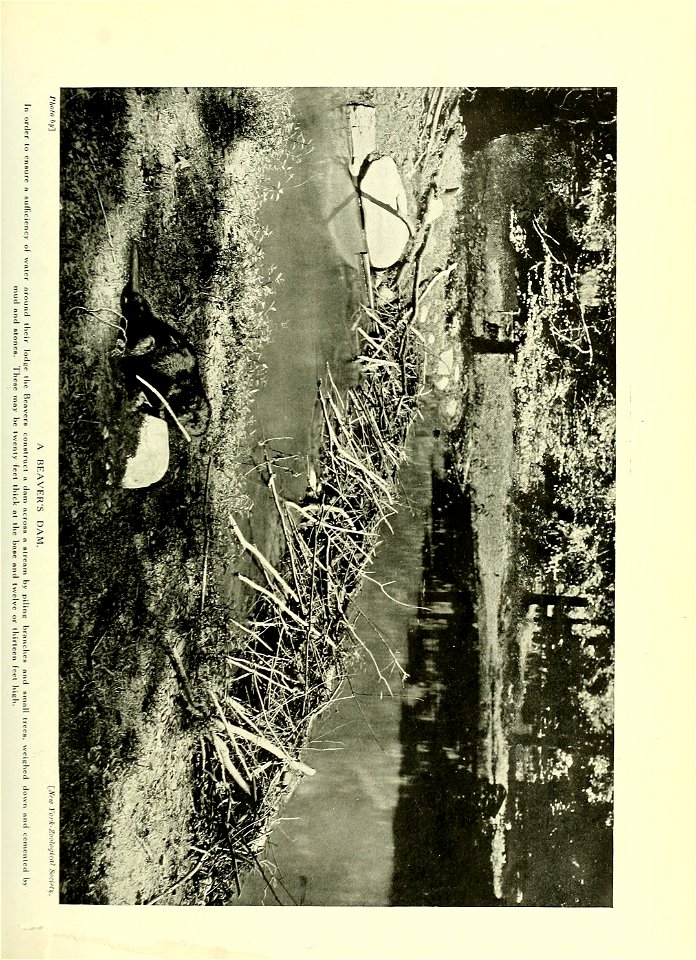 n218_w1150