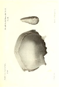 n436_w1150