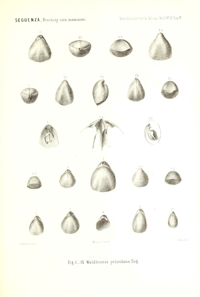n182_w1150