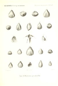 n182_w1150