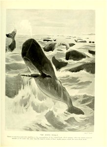 n504_w1150