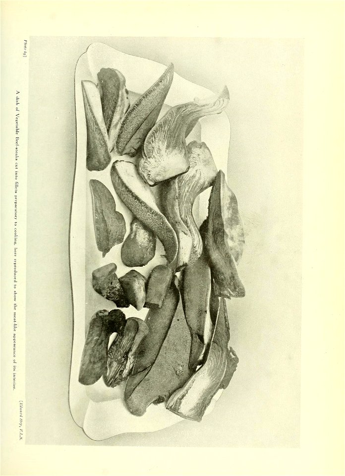 n272_w1150