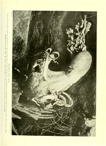 n146_w1150