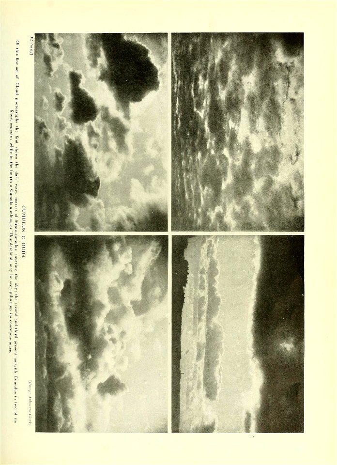 n638_w1150