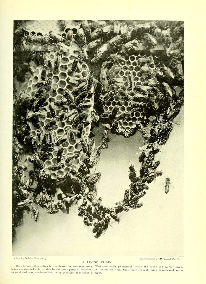 n142_w1150