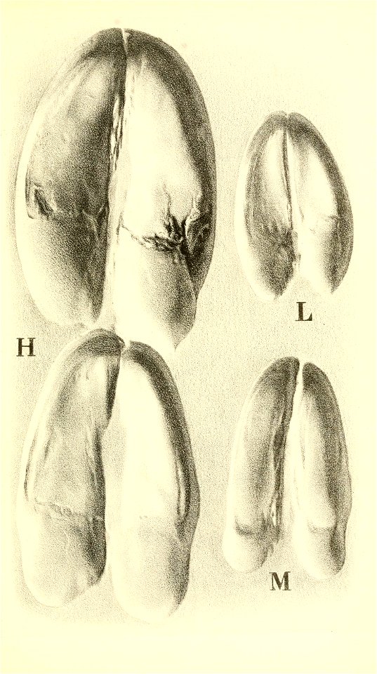 n136_w1150