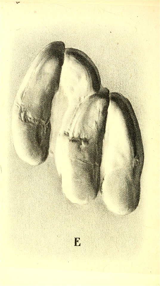 n125_w1150