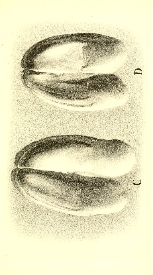 n120_w1150