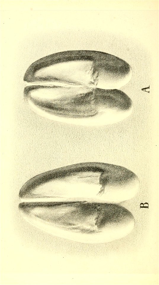 n117_w1150
