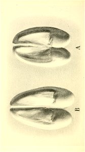 n117_w1150