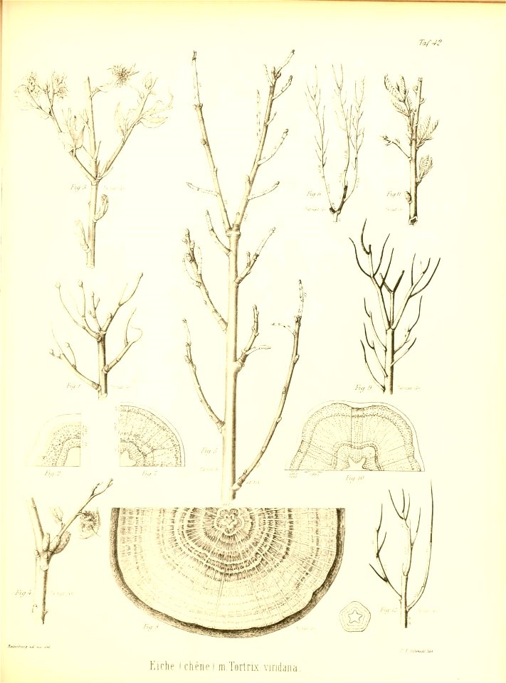 n504_w1150