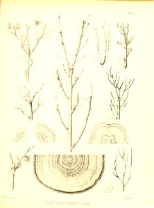 n504_w1150