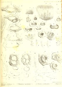 n454_w1150