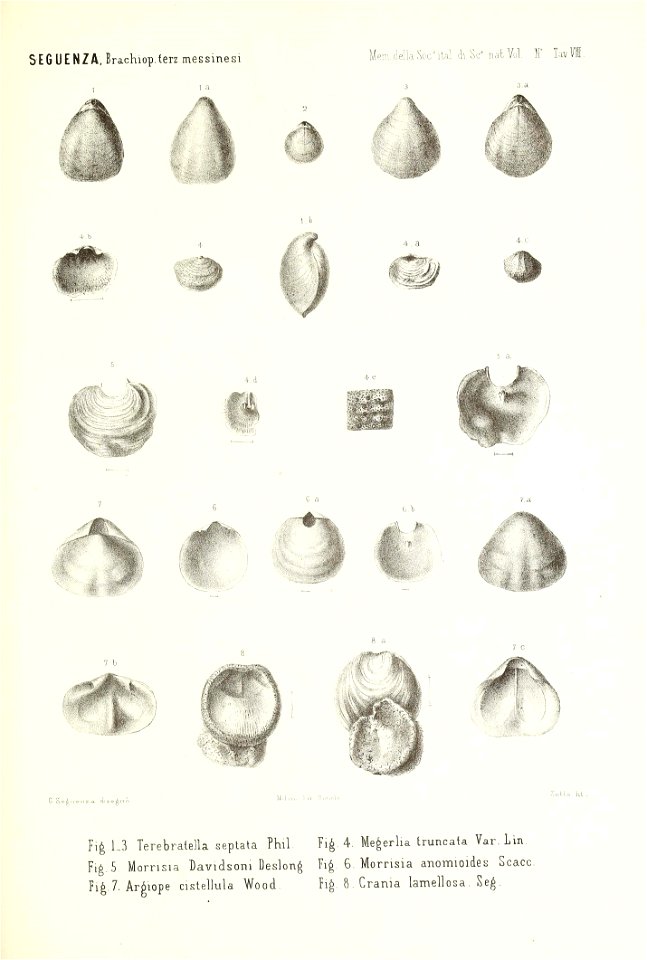 n186_w1150