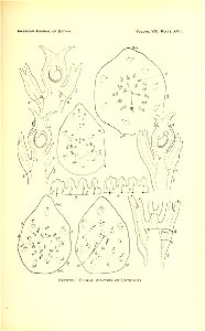 n486_w1150
