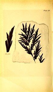 n159_w1150