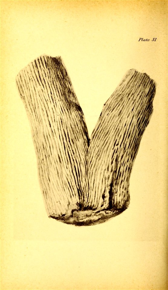 n217_w1150