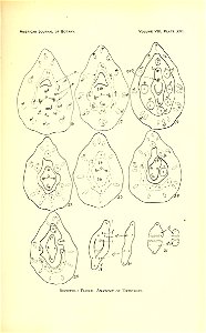 n484_w1150