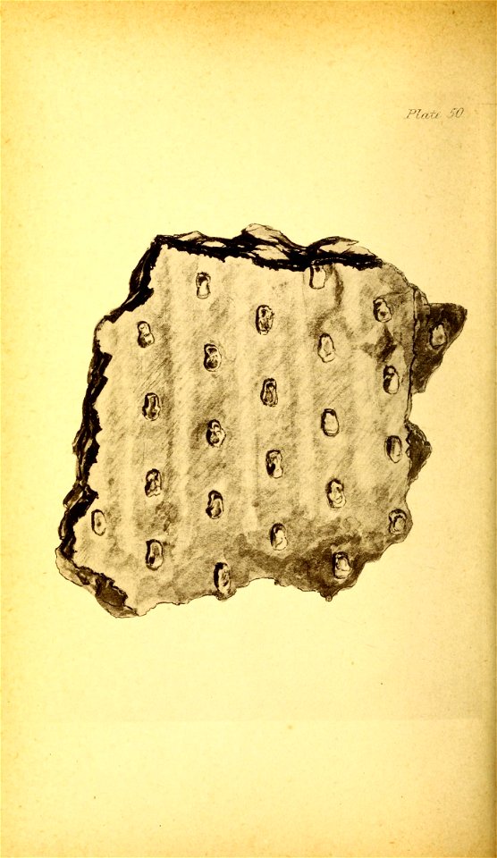 n213_w1150