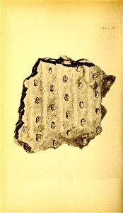 n213_w1150