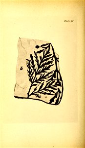 n155_w1150