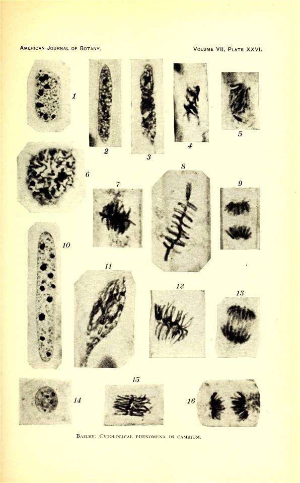 n536_w1150
