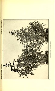 n566_w1150
