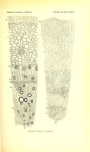 n170_w1150