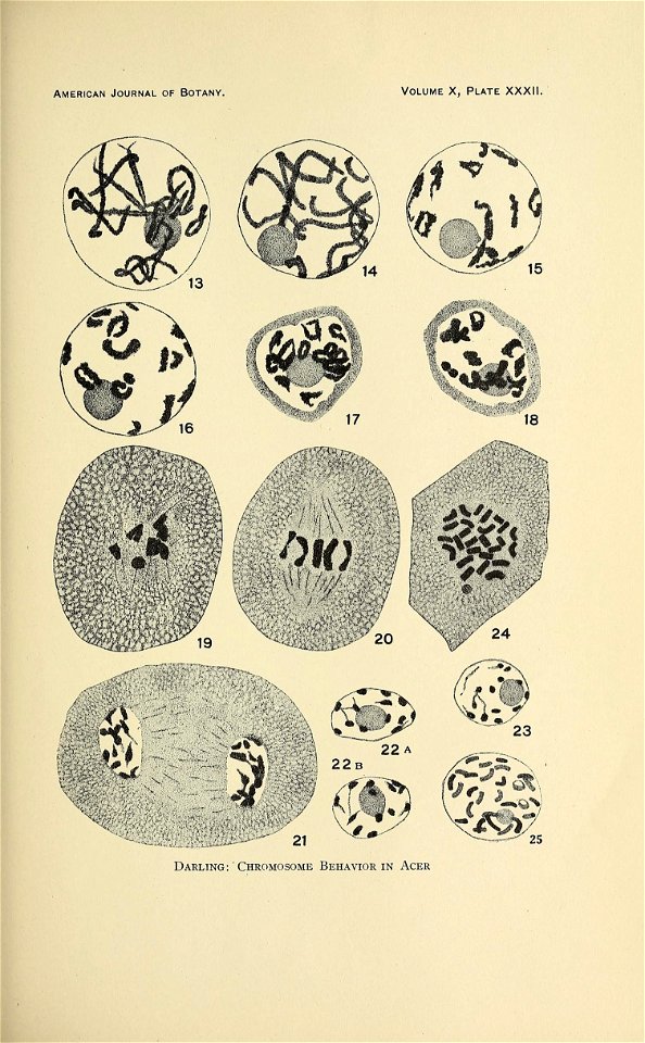 n562_w1150